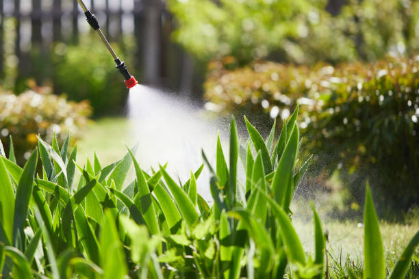 24/7 Emergency Wasp Removal experts in Galva, IL